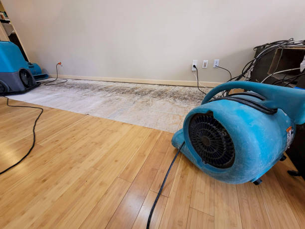 Professional Water Damage Repair technician working in Caliente, CA